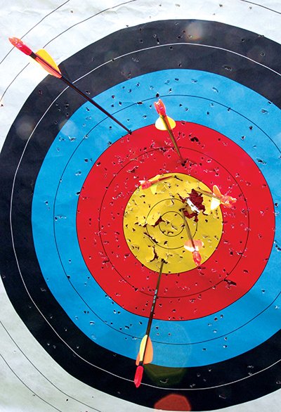Arrows in an Archery target