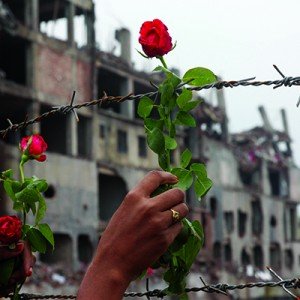 May 24, 2013 - Savar, Bangladesh - A family member of a missing garment worker places roses on the barbed wire fence in tribute to the victims at the site of the April 2013 nine-storey Rana Plaza building collapse on the outskirts of Dhaka. Some 290 unide