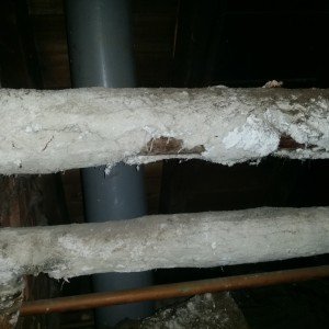 Asbestos managment