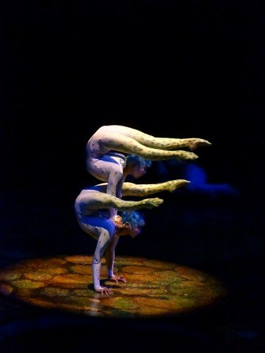 Cirque_du_Soleil_Istanbul_2012_Alegria