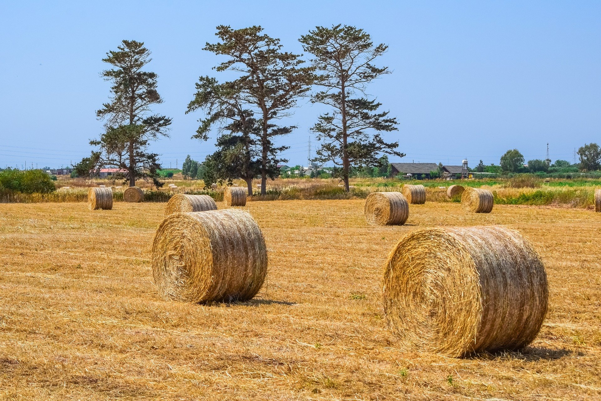 Driver+and+passenger+seriously+injured+after+collision+with+hay+bales+during+pursuit+%26%238211%3B+InForum