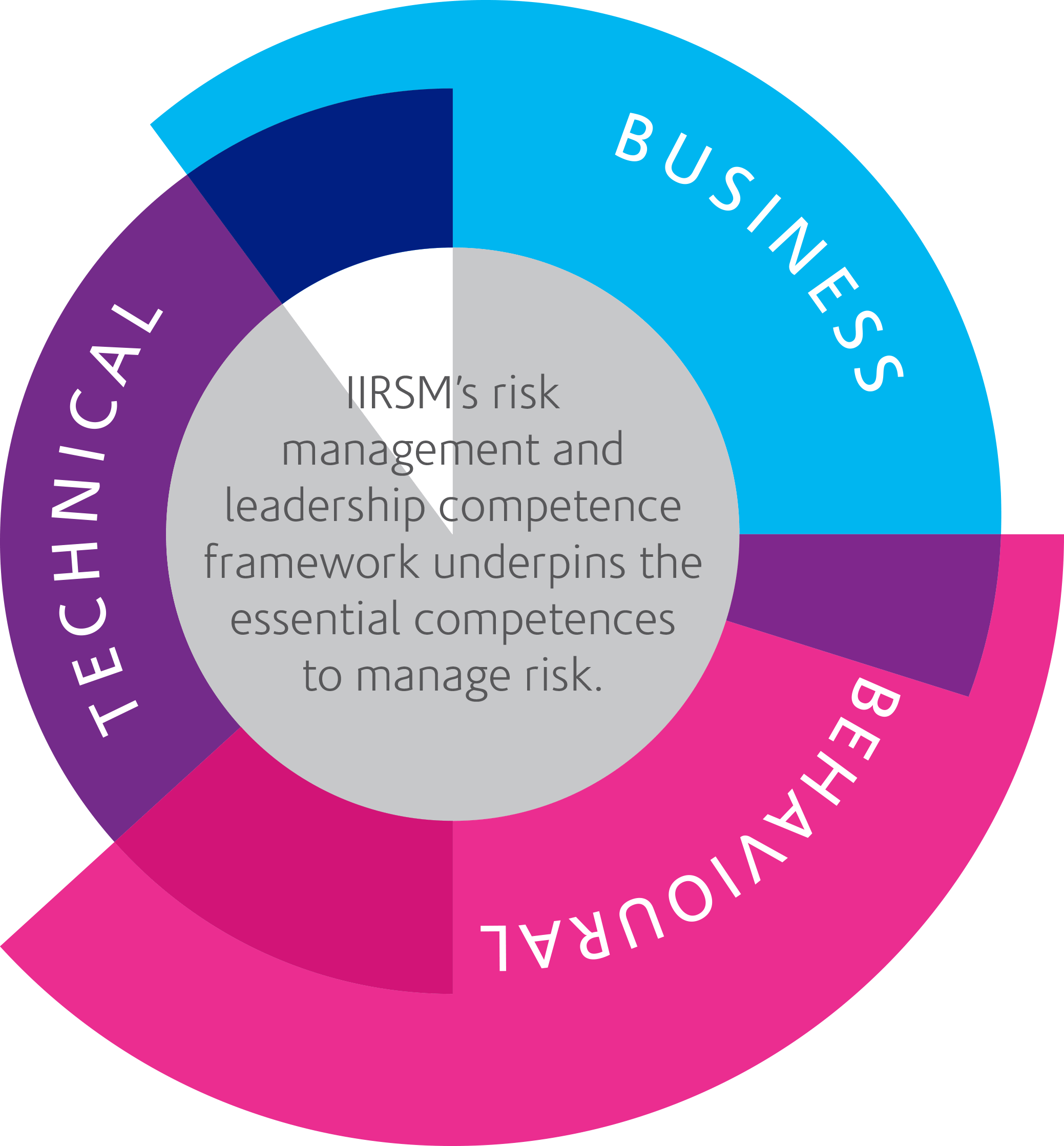 IIRSM launches new risk management and leadership competence framework ...