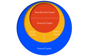 The Five Capitals - a framework for sustainability