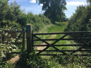 A Wiltshire landowner has been fined £15,000 after members of the public were seriously injured by cattle while walking along footpaths on his estate.