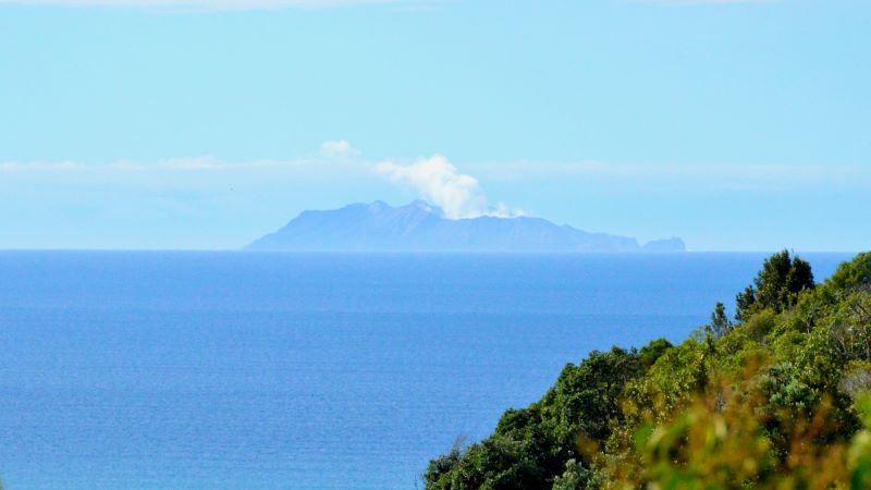 Whakaari Management Limited, has been found guilty for failing to minimise risk at the time of the White Island volcanic eruption in 2019, where 22 people were killed.