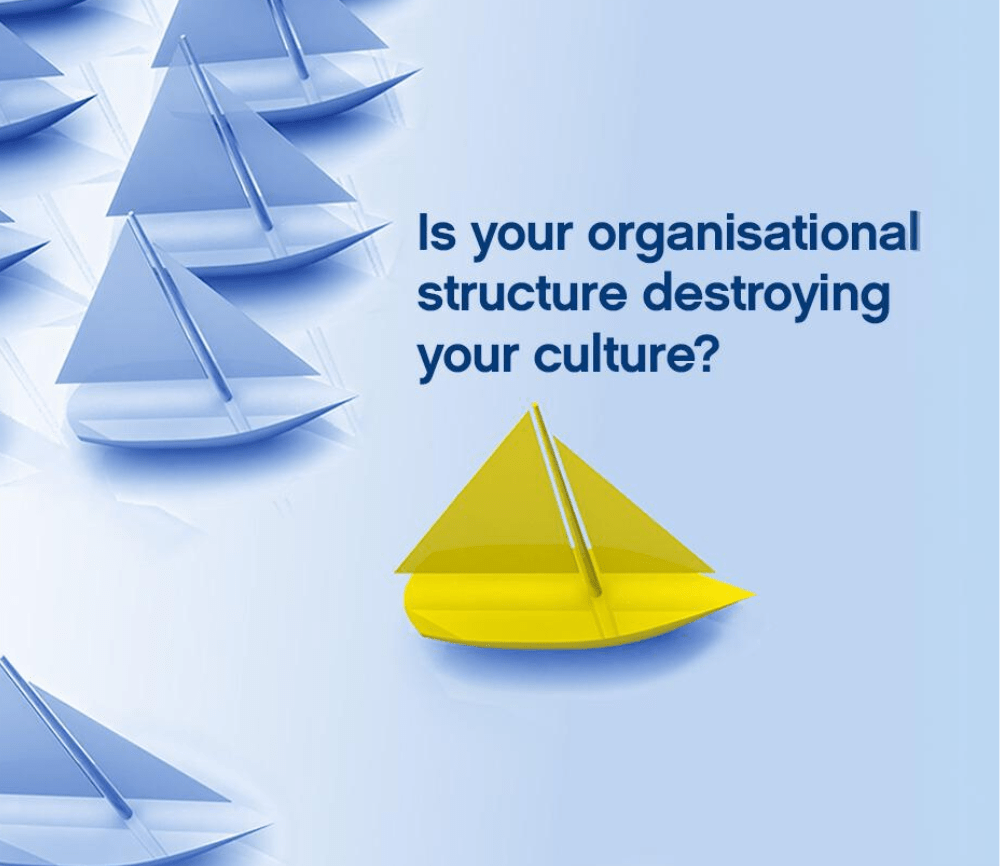 In Tribe Culture Change's latest report, they explore the relationship between organisational structure, culture, and the impact on overall business performance.